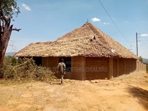 Makuti Fundis From Mombasa