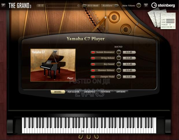 Steinberg the Grand - thumbnail 3