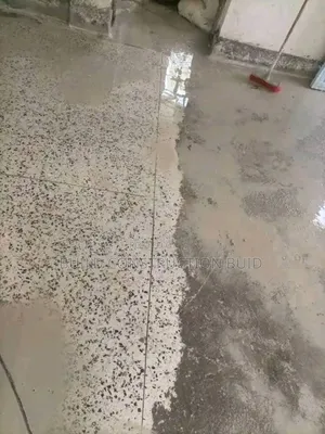 Outdoor Terazzo Cleaning