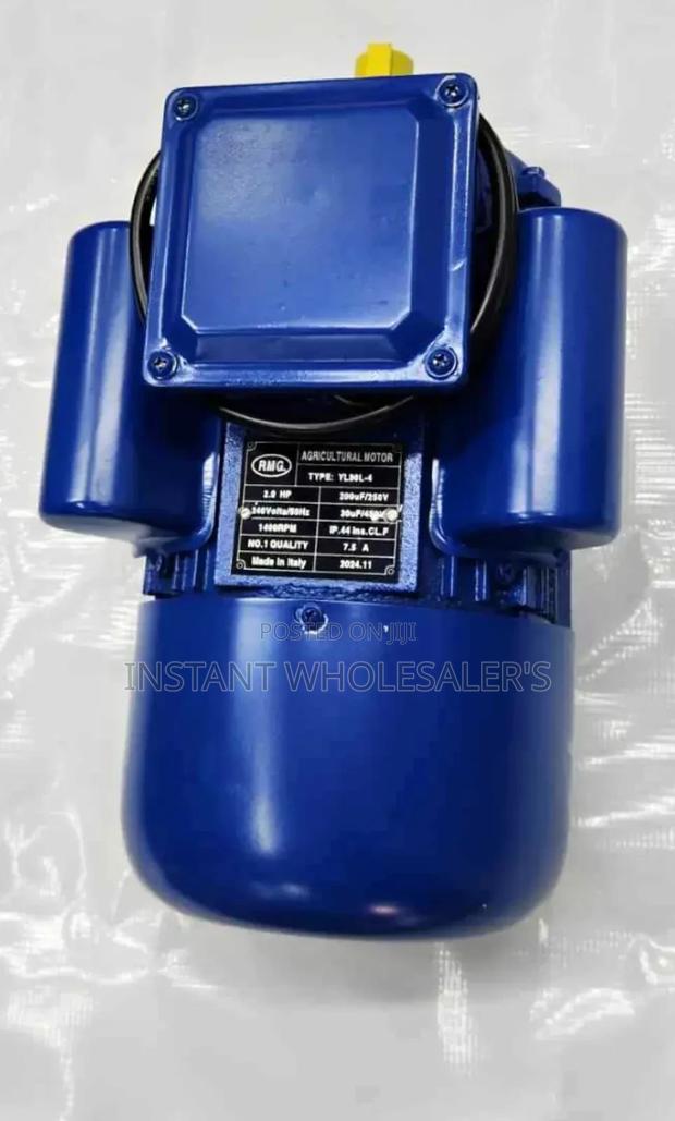 2 Hp Electric High Speed Motor