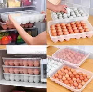 (34eggs) Egg Tray Storage Container