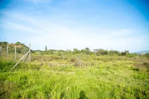 Thika, Munyu 50x100 Plots.