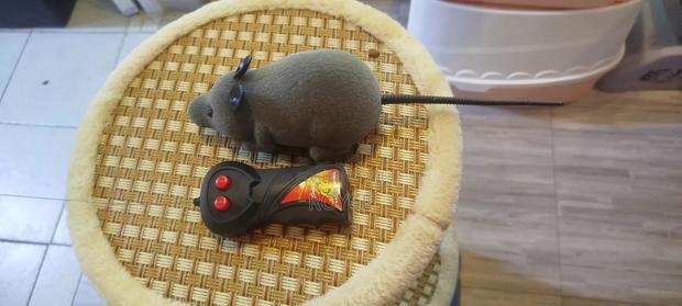 Mouse Cat Toy - thumbnail 3