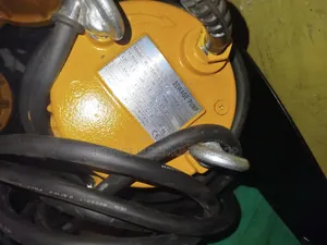 Sewage Pump