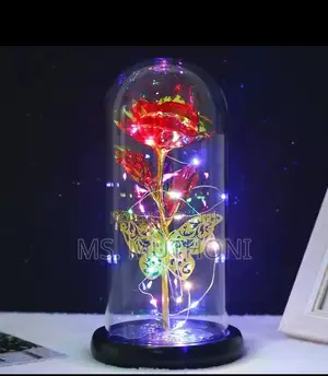 Led Rose Light With Butterfly + Led Strings*