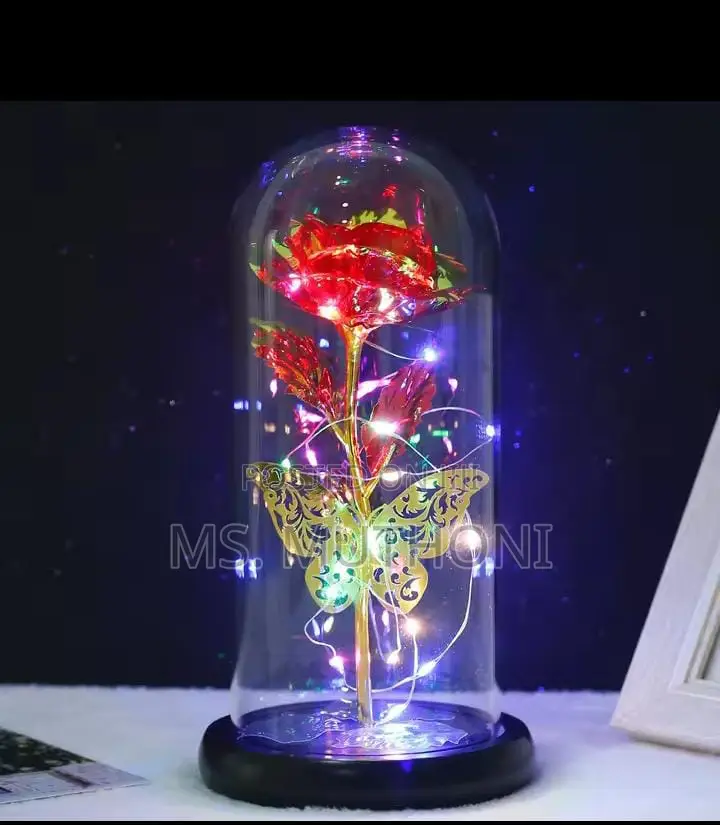 Led Rose Light With Butterfly + Led Strings*