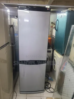 Silver Bottom Freezer Fridge 400litres