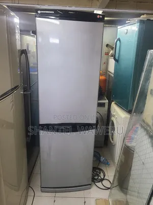 Silver Bottom Freezer Fridge 400litres