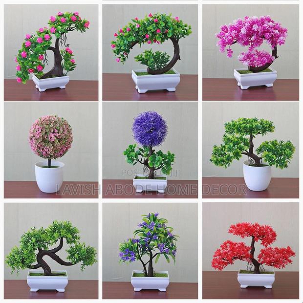 Beautiful Bonsai Small Flowers