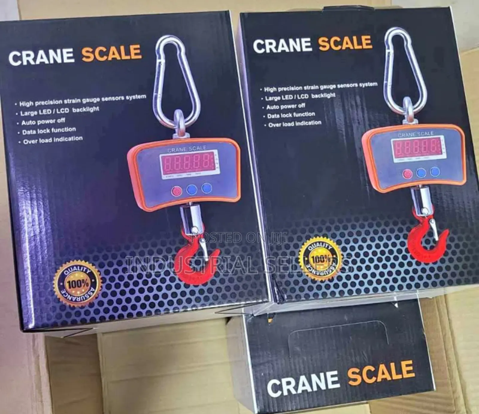 Advanced 500kgs Crane Scale
