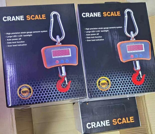 Advanced 500kgs Crane Scale - main view