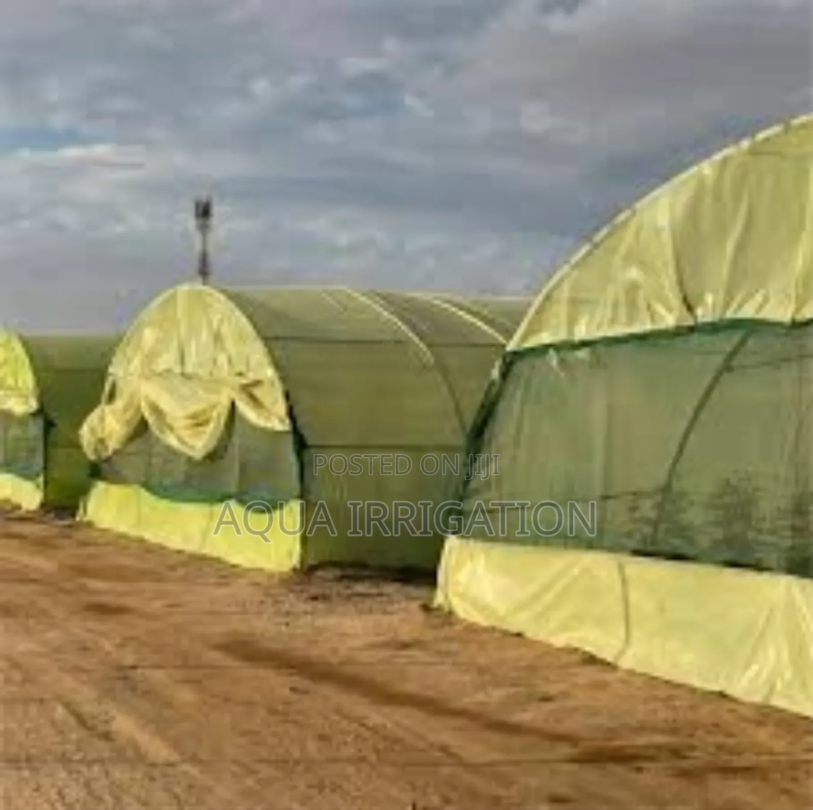 Grow More, Earn More With a Greenhouse