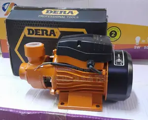 Dk60 Dera 0.5 Surface Water Pump