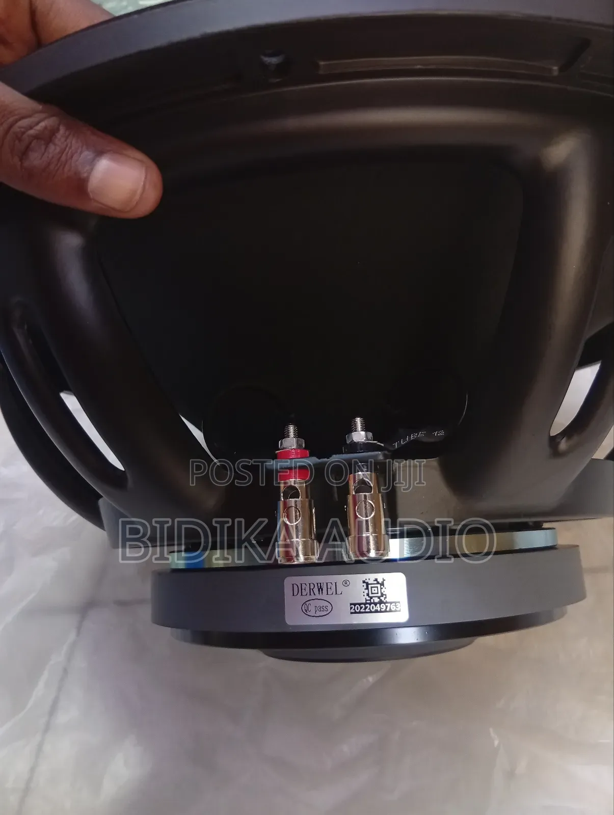 Brand New Derwel Speaker 15dl202 12inch