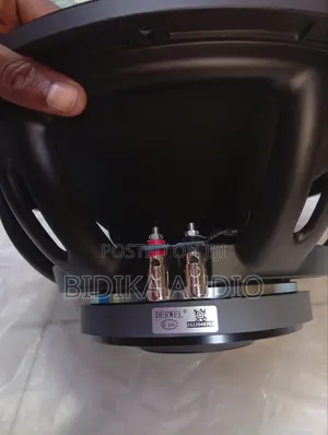 Brand New Derwel Speaker 15dl202 12inch