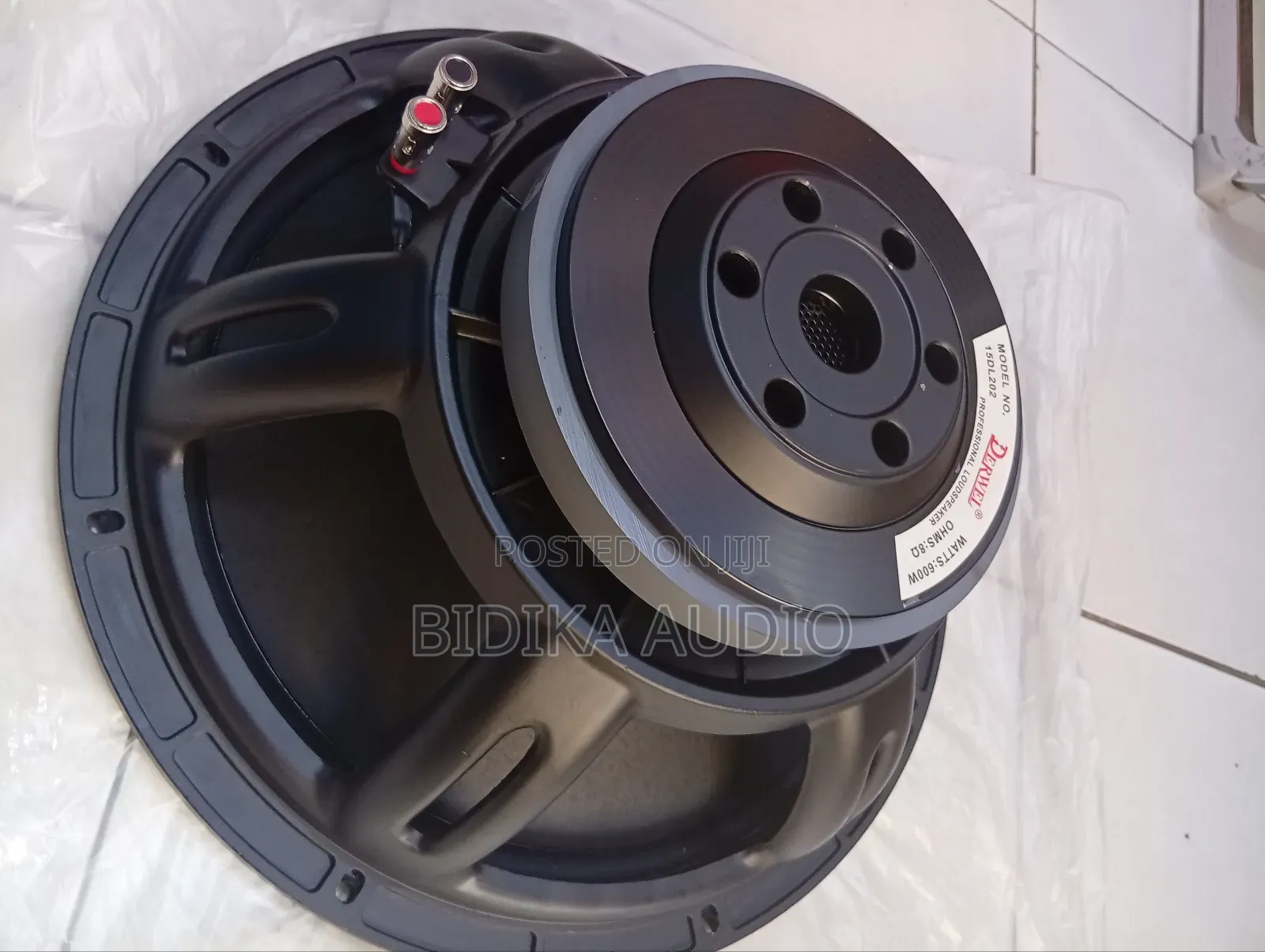 Professional Derwel Naked Loudspeaker 15dl202