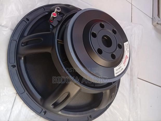 Professional Derwel Naked Loudspeaker 15dl202 - main view