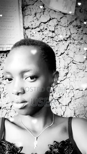 House Cleaner