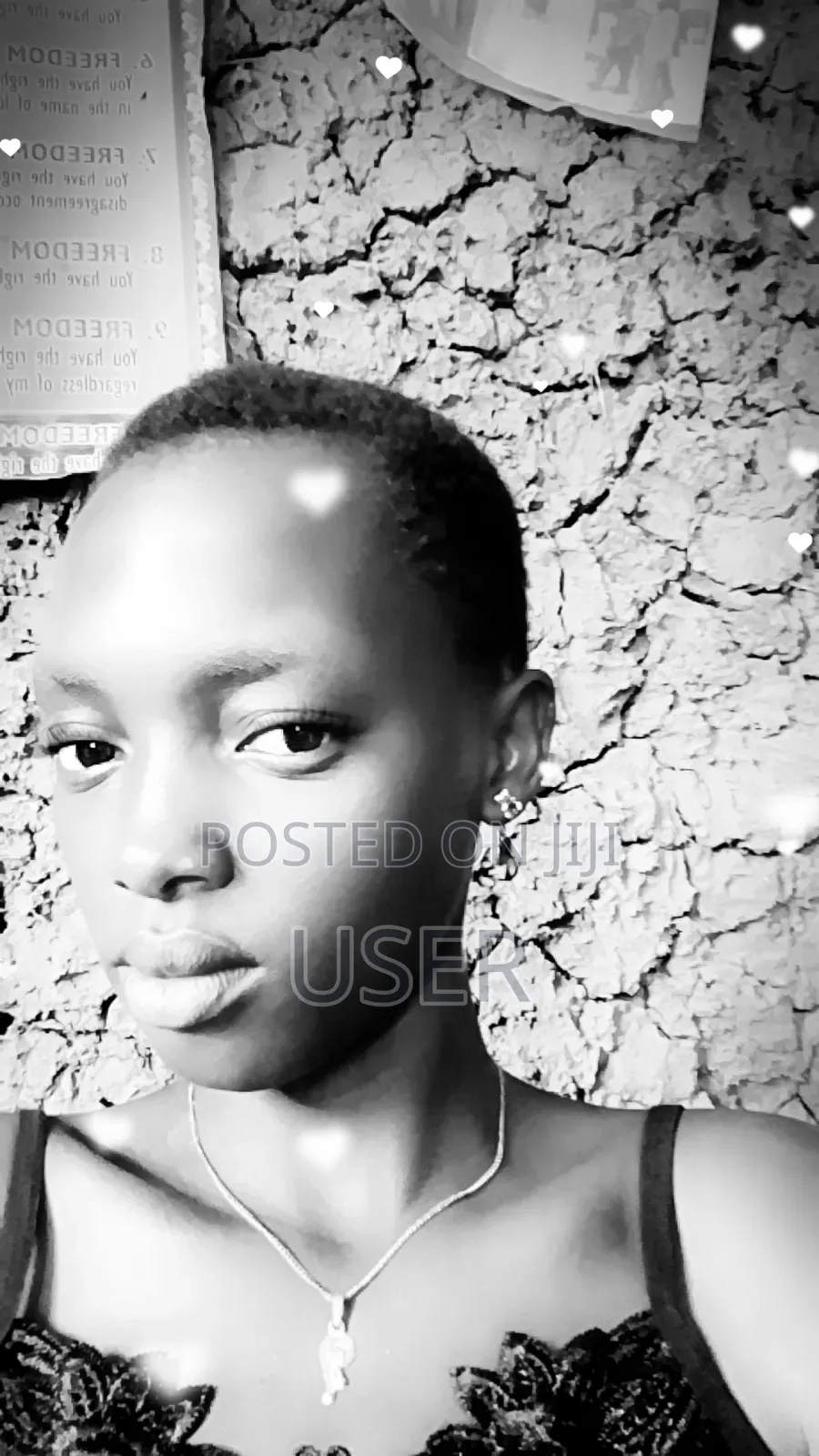 House Cleaner