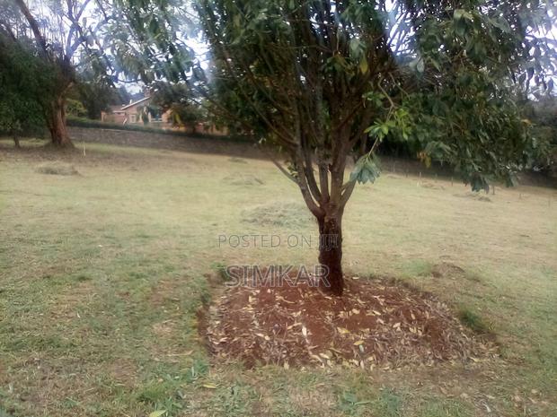 1-Acre Serviced Plots for Sale in a Gated Community in Karen - thumbnail 10