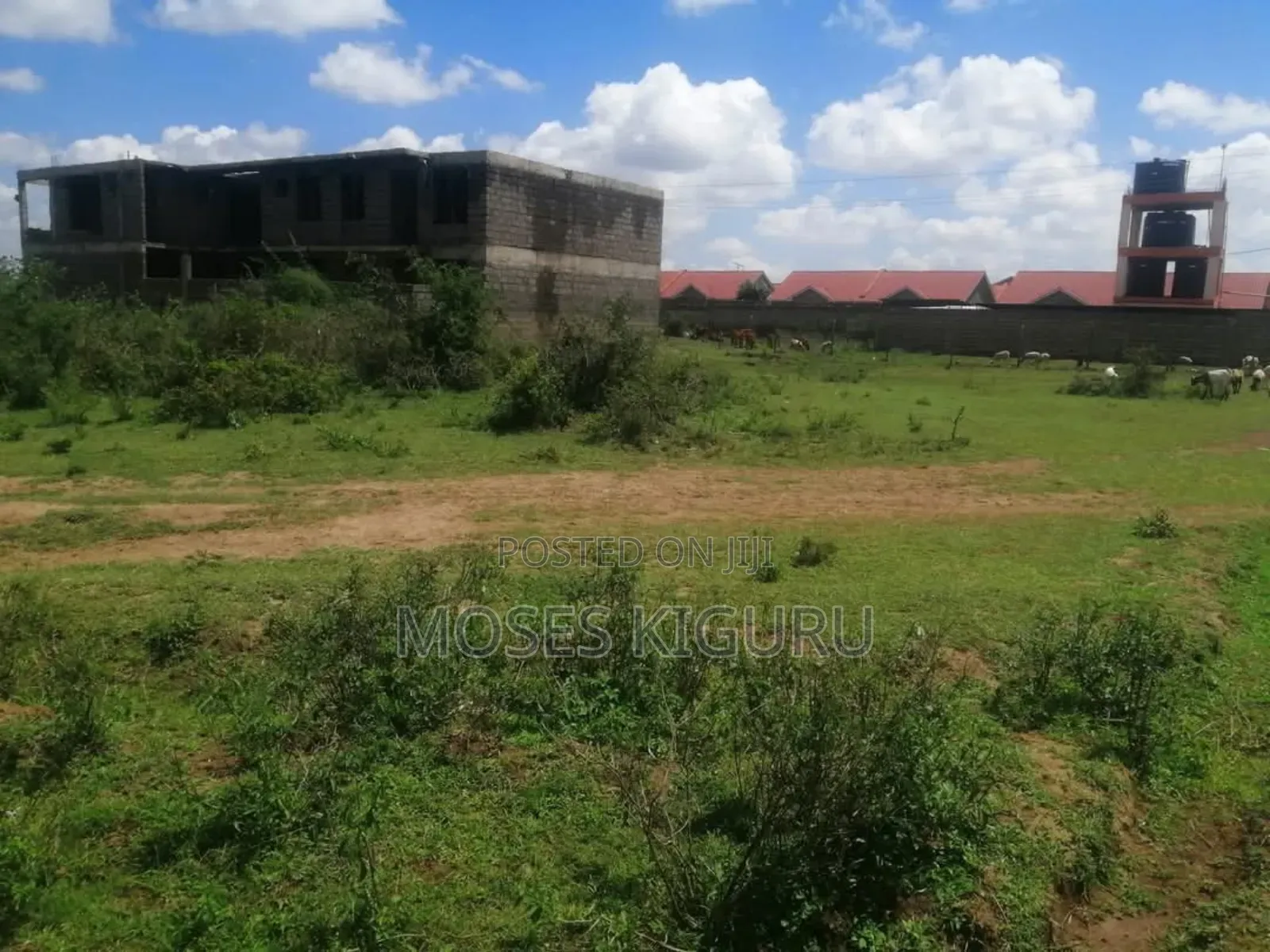 Juja 40x80 Commercial Plot.
