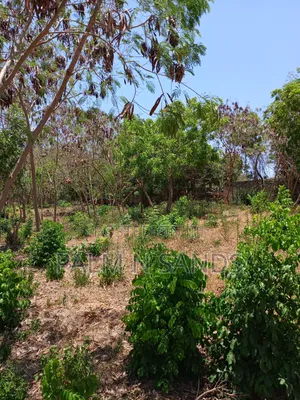 Second Row 3/4 Acre Plot on Sale in Galu Diani