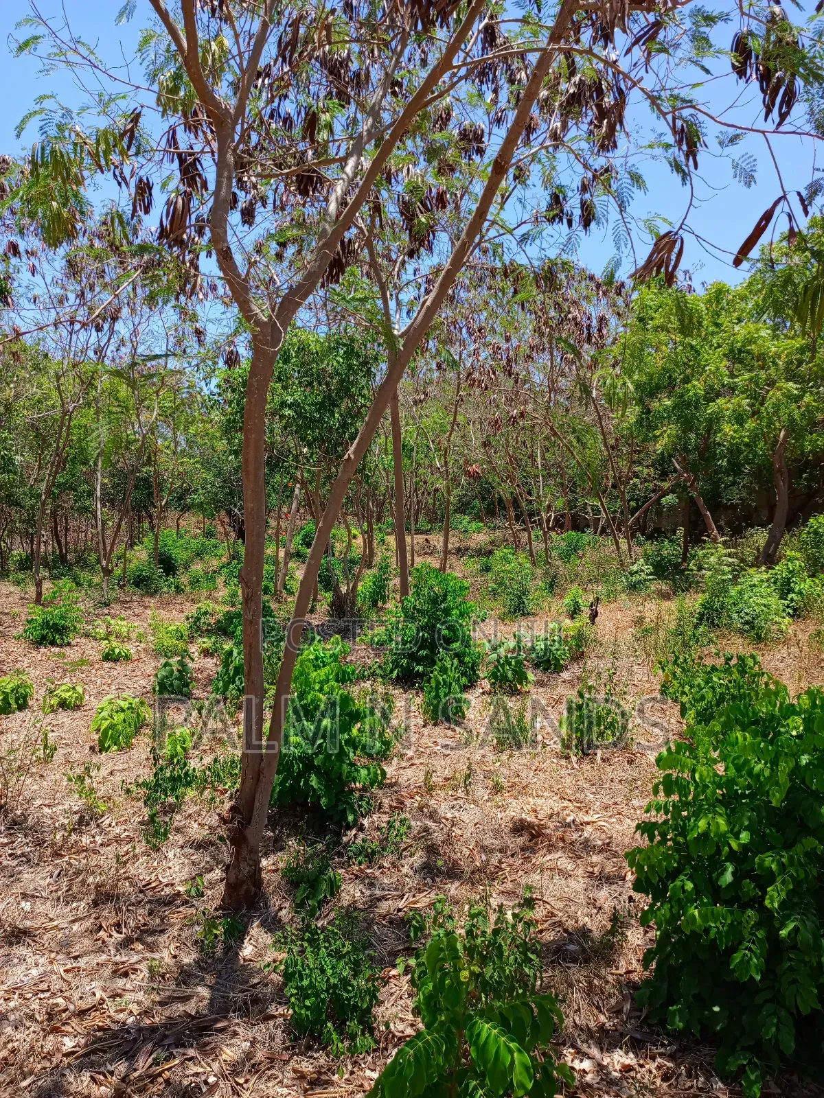 Second Row 3/4 Acre Plot on Sale in Galu Diani
