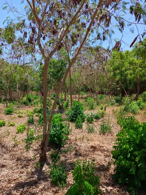 Second Row 3/4 Acre Plot on Sale in Galu Diani