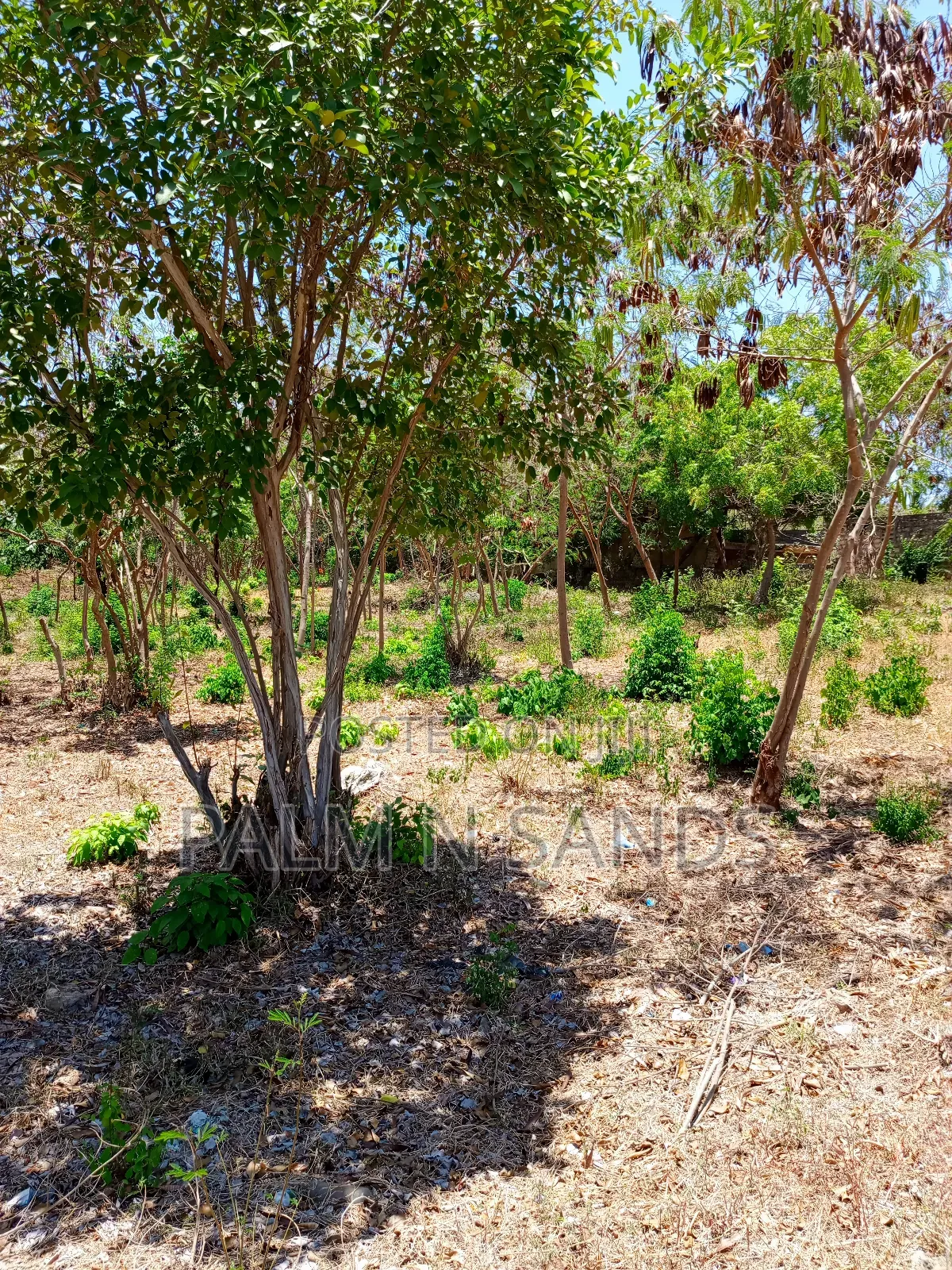 Second Row 3/4 Acre Plot on Sale in Galu Diani