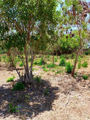 Second Row 3/4 Acre Plot on Sale in Galu Diani