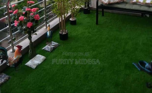 Turf Grass Available