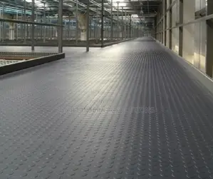 Grey Anti-Slip Coin Carpet