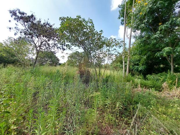 Old Runda 1/2 Plot For Sale - thumbnail 3