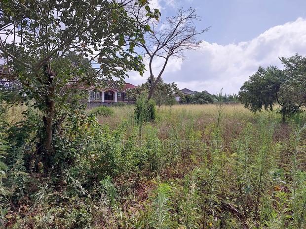 Old Runda 1/2 Plot For Sale - thumbnail 4