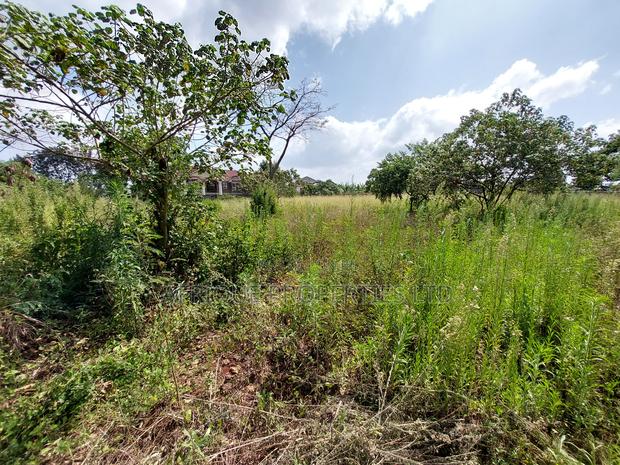 Old Runda 1/2 Plot For Sale - thumbnail 5