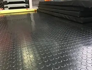 Long-Lasting Coin Rubber Mat