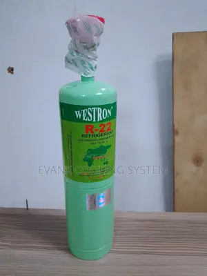 1 Kg Westron R22