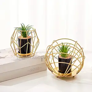 Gold Caged Black Succulents Flower / Plant Interior Decor