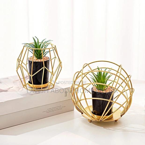 Gold Caged Black Succulents Flower / Plant Interior Decor