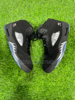 Men Shoes (Jordan 7)