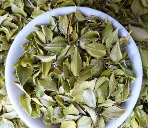 Buchu Leaf Extract Powder. 250g