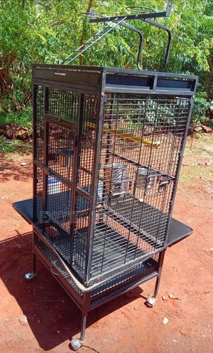 Imported Cages - thumbnail 2