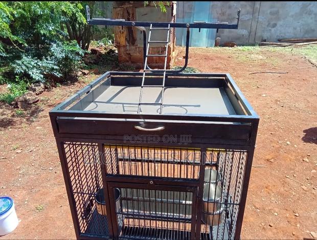 Imported Cages - thumbnail 3