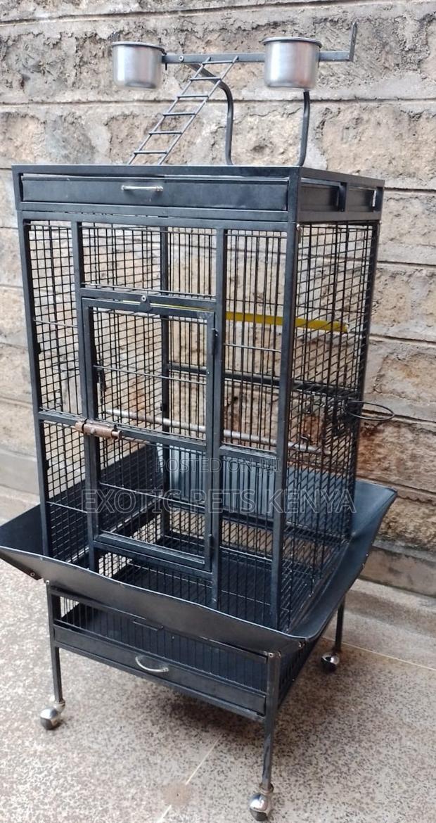 Imported Cages - thumbnail 4