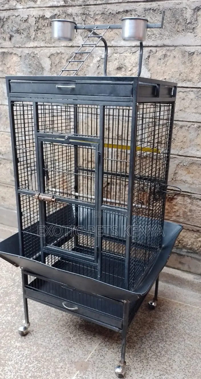 Imported Cages
