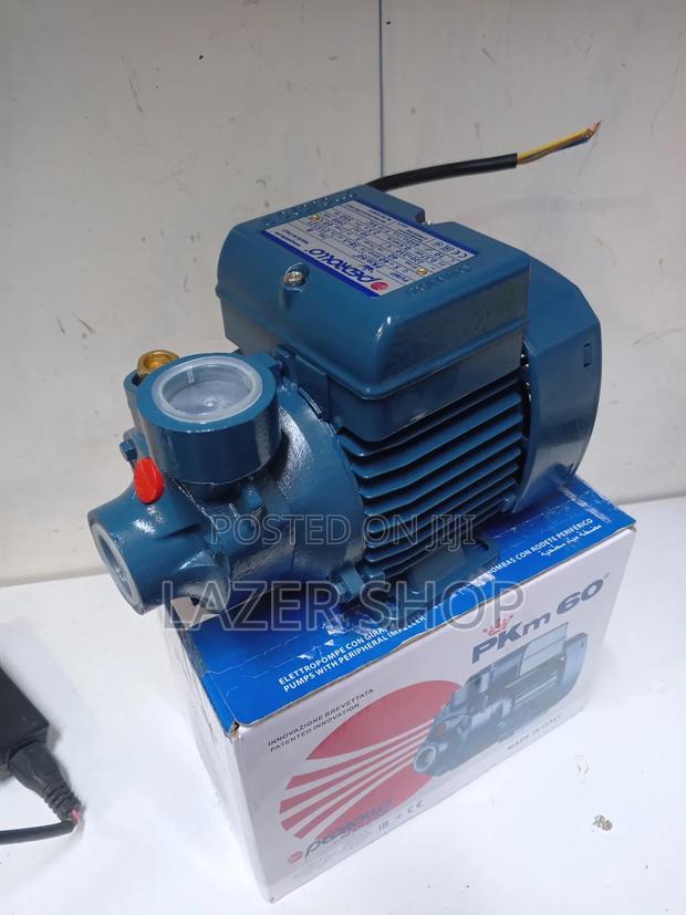 Pedrollo Boaster Pump - thumbnail 4