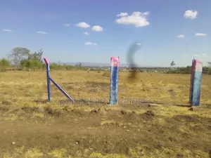 Ruiru Mwalimu Farm