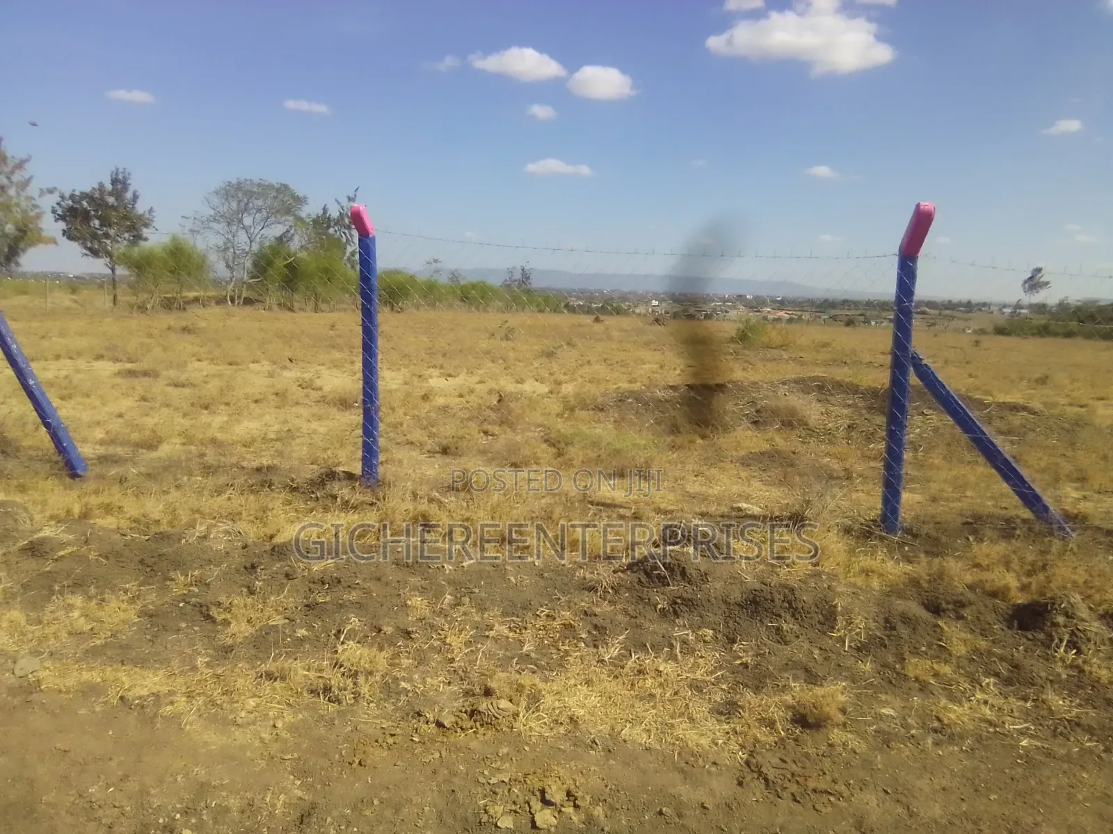 Ruiru Mwalimu Farm