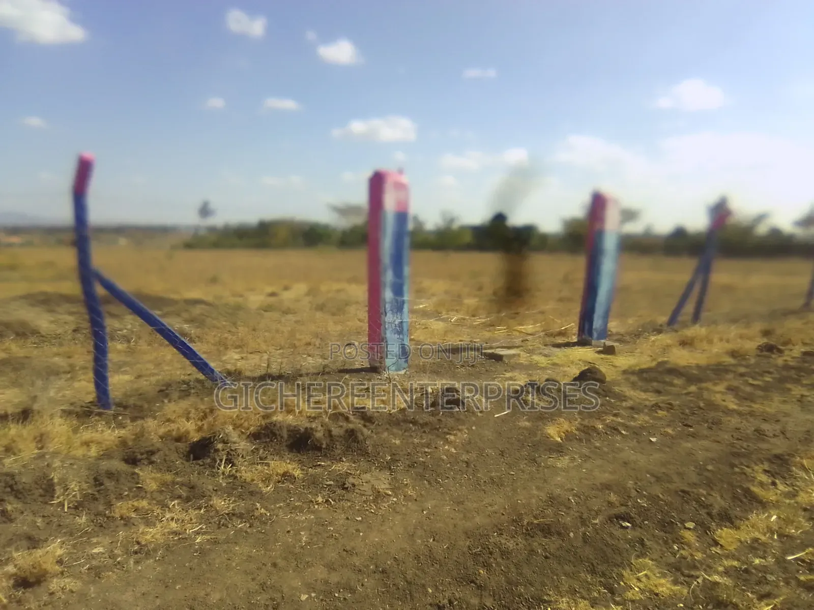 Ruiru Mwalimu Farm