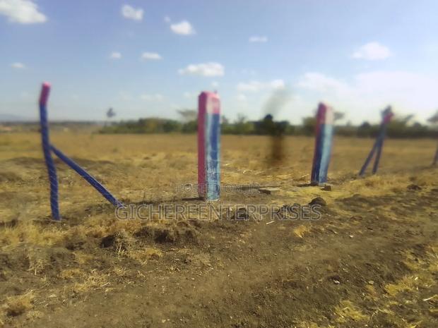 Ruiru Mwalimu Farm - thumbnail 8